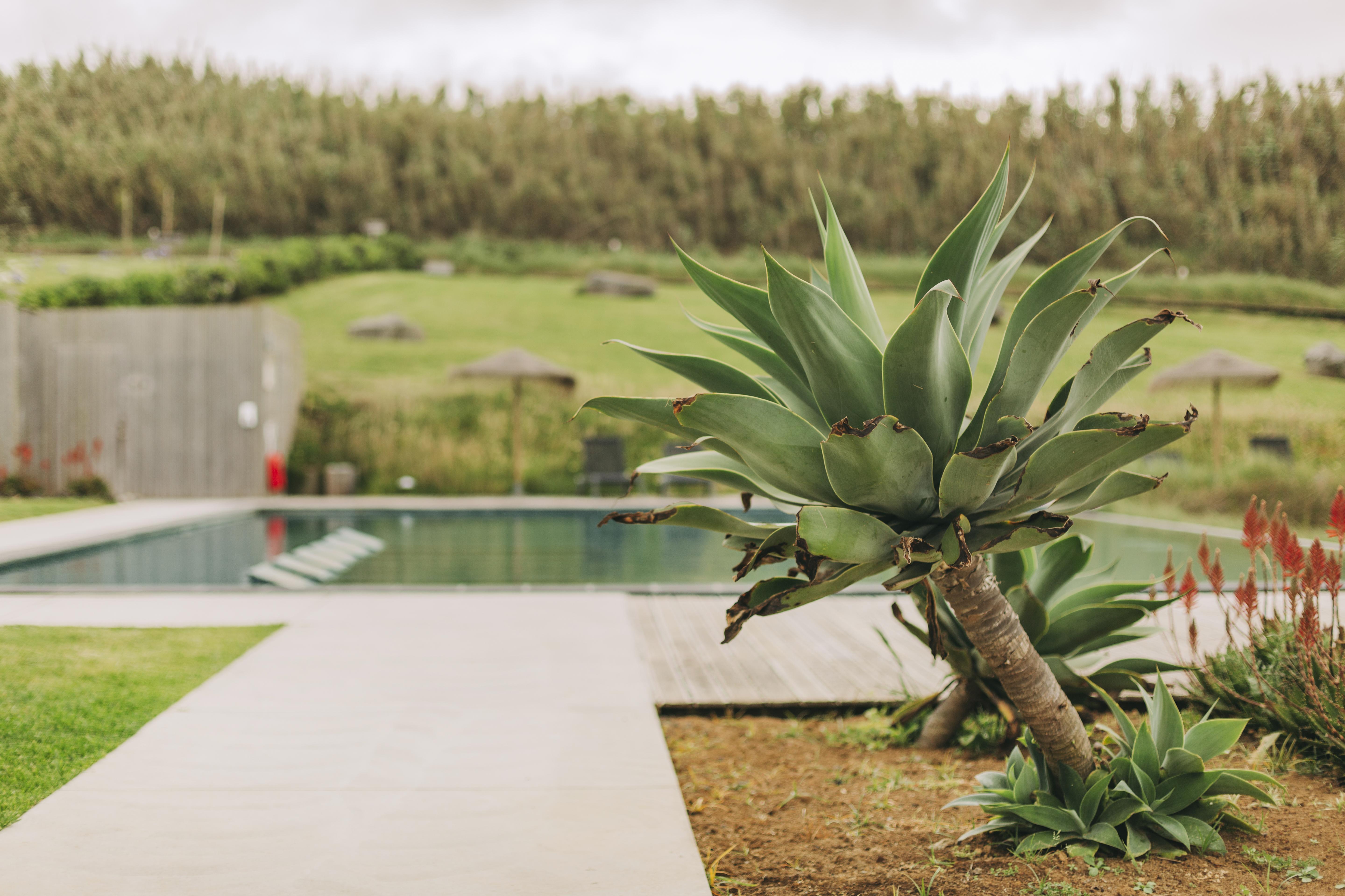Santa Barbara Eco-Beach Resort Ribeira Grande Eksteriør billede